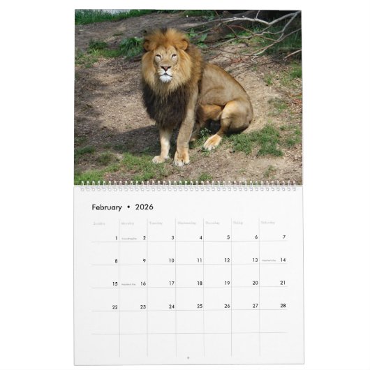 Afrikaanse wilde dieren kalender (Feb 2026)