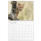 Afrikaanse wilde dieren kalender (Jan 2027)