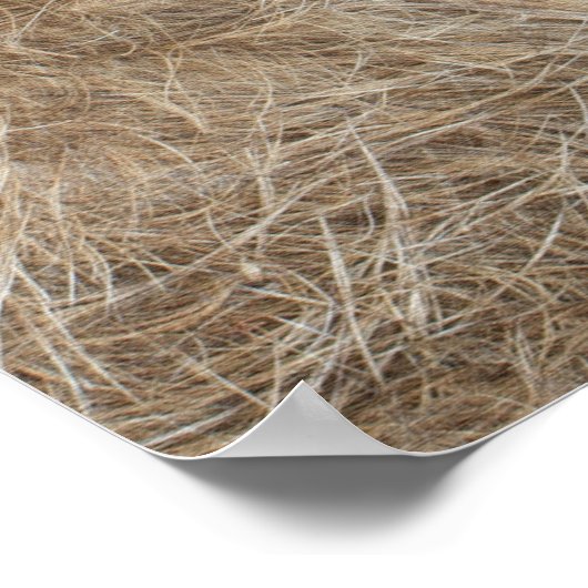 Afrikaanse wilde dieren poster (Hoek)