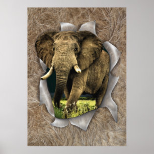 Afrikaanse wilde dieren poster