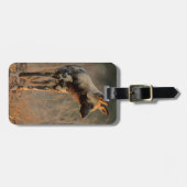 Afrikaanse Wilde Dog (Lycaon Pictus), Kruger Bagagelabel (Voorkant horizontaal)