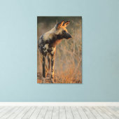 Afrikaanse Wilde Dog (Lycaon Pictus), Kruger Canvas Afdruk (Insitu (Houten vloer))