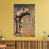 Afrikaanse Wilde Dog (Lycaon Pictus), Kruger Canvas Afdruk (Insitu (Woonkamer))
