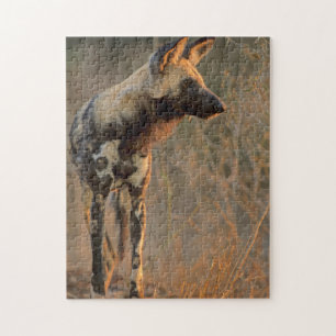 Afrikaanse Wilde Dog (Lycaon Pictus), Kruger Legpuzzel