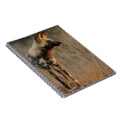 Afrikaanse Wilde Dog (Lycaon Pictus), Kruger Notitieboek (Rechterzijde)