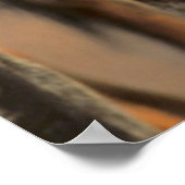 Afrikaanse Wilde Dog (Lycaon Pictus), Kruger Poster (Hoek)