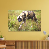 Afrikaanse Wilde Dog (Lycaon Pictus), Madikwe Game Canvas Afdruk (Insitu (Woonkamer))