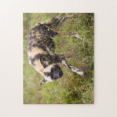Afrikaanse Wilde Dog (Lycaon Pictus), Madikwe Game Legpuzzel (Verticaal)