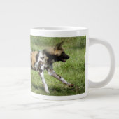afrikaanse-wilde-hond-004 grote koffiekop (Rechts)