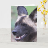 Afrikaanse wilde hond (gepekelde hond) kaart (Gele Bloem)