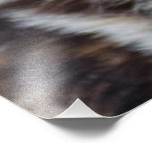 Afrikaanse wilde hond (geslepen hond) foto afdruk (Hoek)