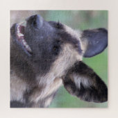 Afrikaanse wilde hond (geslepen hond) legpuzzel (Horizontaal)