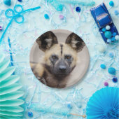 Afrikaanse wilde hond (geslepen hond) papieren bordje (Feest)