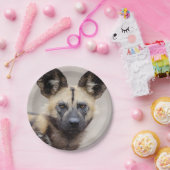 Afrikaanse wilde hond (geslepen hond) papieren bordje (Feest)