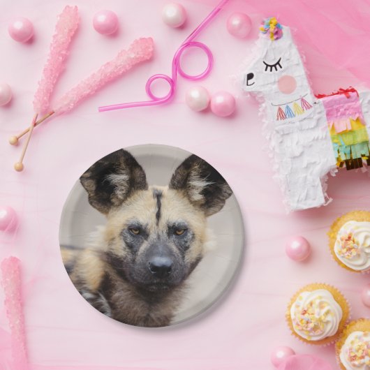 Afrikaanse wilde hond (geslepen hond) papieren bordje (Feest)