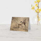 AFRIKAANSE WILDE HOND KAART (Gele Bloem)