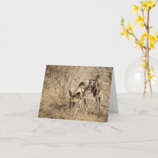 AFRIKAANSE WILDE HOND KAART (Gele Bloem)