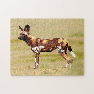 Afrikaanse Wilde Hond (Lycaon Pictus) Staand Legpuzzel