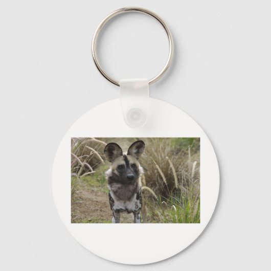 Afrikaanse wilde hond sleutelhanger (Voorkant)
