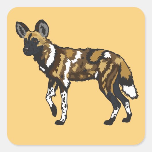 Afrikaanse wilde hond. Wild Africa Vierkante Sticker (Voorkant)