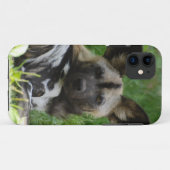 Afrikaanse wilde honden Case-Mate iPhone case (Achterkant (horizontaal))