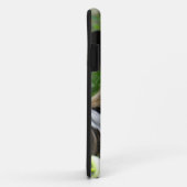 Afrikaanse wilde honden Case-Mate iPhone case (Achterkant/rechts)