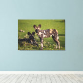 Afrikaanse wilde honden in Tanzania Canvas Afdruk (Insitu (Houten vloer))