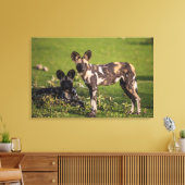 Afrikaanse wilde honden in Tanzania Canvas Afdruk (Insitu (Woonkamer))