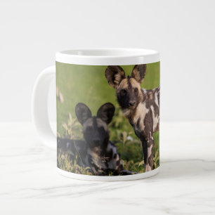 Afrikaanse Wilde Honden in Tanzania Grote Koffiekop
