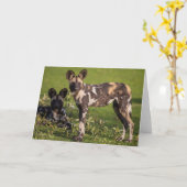 Afrikaanse wilde honden in Tanzania Kaart (Gele Bloem)