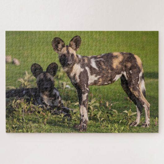 Afrikaanse wilde honden in Tanzania Legpuzzel (Horizontaal)