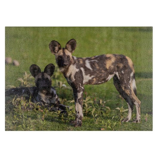 Afrikaanse Wilde Honden in Tanzania Snijplank (Voorkant)