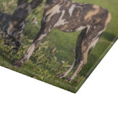 Afrikaanse Wilde Honden in Tanzania Snijplank (Hoek)
