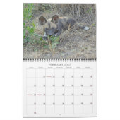 AFRIKAANSE WILDE HONDEN KALENDER (Feb 2027)