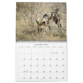 AFRIKAANSE WILDE HONDEN KALENDER (Jan 2027)