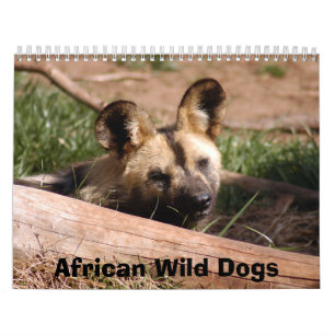 Afrikaanse Wilde Honden Kalender, Afrikaanse Wilde Kalender