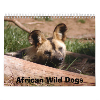 Afrikaanse Wilde Honden Kalender, Afrikaanse Wilde Kalender