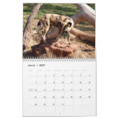 Afrikaanse Wilde Honden Kalender, Afrikaanse Wilde Kalender (Mar 2027)