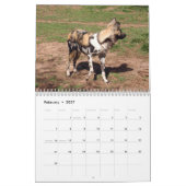 Afrikaanse Wilde Honden Kalender, Afrikaanse Wilde Kalender (Feb 2027)