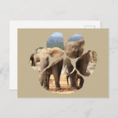 Afrikaanse wilde levende lion Pawprint Elephant Si Briefkaart (Voorkant / Achterkant)