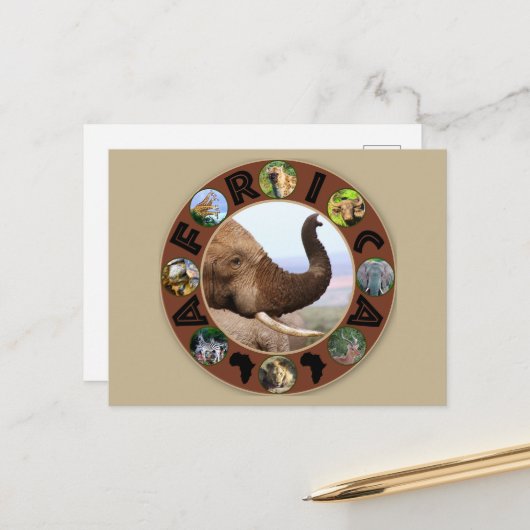 Afrikaanse wildgroei-olifantenscijfers briefkaart (Voorkant / Achterkant in situ)