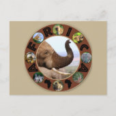 Afrikaanse wildgroei-olifantenscijfers briefkaart (Voorkant)