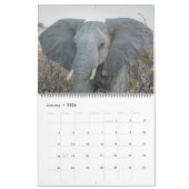 AFRIKAANSE WILDLIFE FAVORITES CALENDAR KALENDER (Jan 2026)