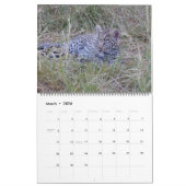 AFRIKAANSE WILDLIFE FAVORITES CALENDAR KALENDER (Mar 2026)