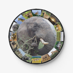 Afrikaanse Wildlife Fotocollage Olifant Bull Papieren Bordje