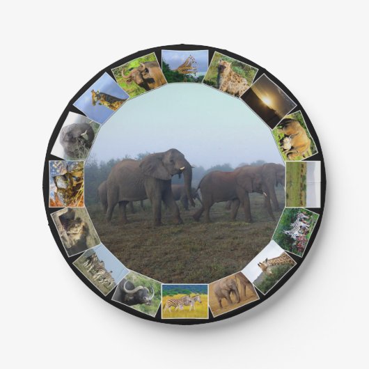 Afrikaanse Wildlife fotocollage olifant kudde mist Papieren Bordje (Voorkant)
