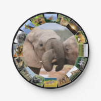 Afrikaanse Wildlife Fotocollage Olifant Trunks