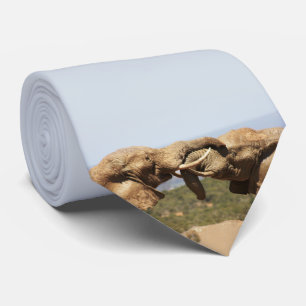 Afrikaanse Wildlife Fotografie Olifant Tussle Stropdas