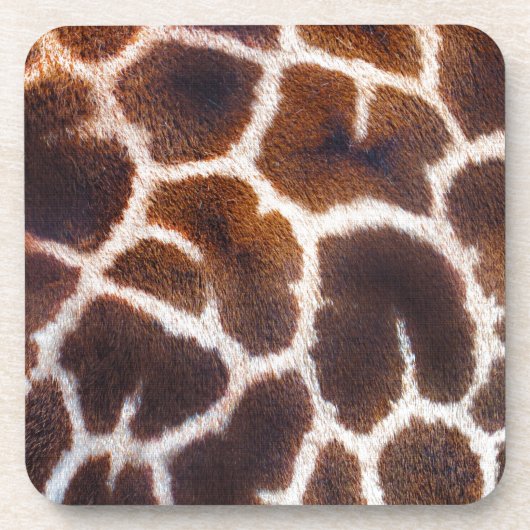 Afrikaanse Wildlife Giraffe - Fotoontwerp Onderzetter (Voorkant)