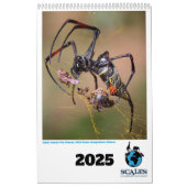 Afrikaanse Wildlife Kalender 2025 (Hoes)